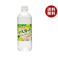 サンガリア 伊賀の天然水 マスカットスパークリング 500mlペットボトル×24本入｜ 送料無料 マスカット ぶどう ブドウ 炭酸 炭酸水 | MISONOYA ヤフー店