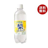 サンガリア 伊賀の天然水 梨スパークリング 500mlペットボトル×24本入｜ 送料無料 梨 フルーツ 炭酸 炭酸水 | MISONOYA ヤフー店