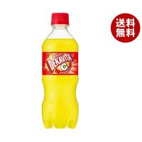 サントリー デカビタパワー【自動販売機用】 430mlペットボトル×24本入×(2ケース)｜ 送料無料 デカビタC 炭酸飲料 ビタミン 栄養 PET | MISONOYA ヤフー店