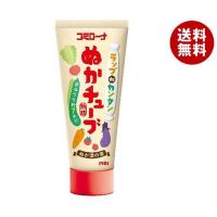 コーセーフーズ ラップdeカンタン ぬかチューブ 170g×20本入×(2ケース)｜ 送料無料 一般食品 ぬか漬けの素 素 チューブ | MISONOYA ヤフー店