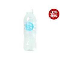 友桝飲料 蛍の郷の天然水 500mlペットボトル×24本入×(2ケース)｜ 送料無料 | MISONOYA ヤフー店