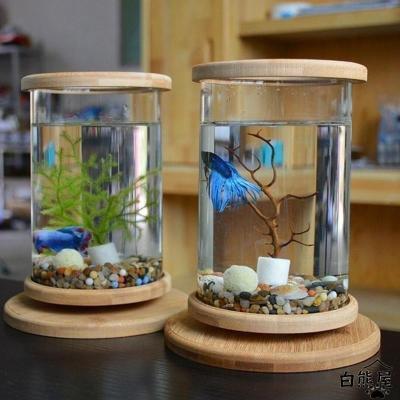 ベタ（ガラス水槽）｜水槽｜熱帯魚、アクアリウム用品 | ペット用品