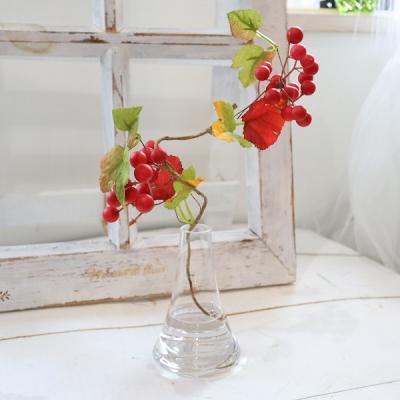 サンキライのおすすめ人気商品一覧 通販 - Yahoo!ショッピング