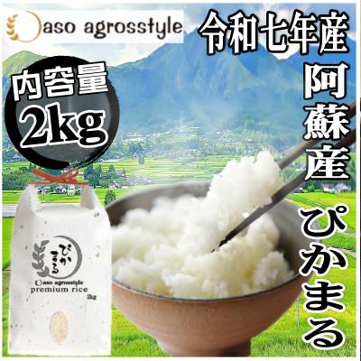 お米（お米の品種：ぴかまる）の商品一覧 通販 - Yahoo!ショッピング