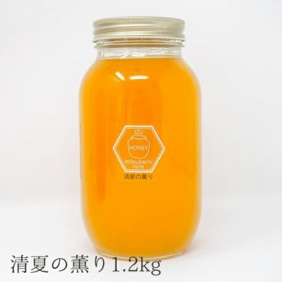 カラスザンショウのおすすめ人気商品一覧 通販 - Yahoo!ショッピング