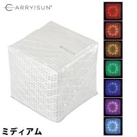 CARRY THE SUN(キャリー・ザ・サン) ライト レインボー ミディアム 24036 ランタン | ニッチ・リッチ・キャッチ