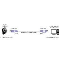 Victor IEEE1394ケーブル 4ピン-6ピン(2M) [VX-DV220E] | mitusawa7