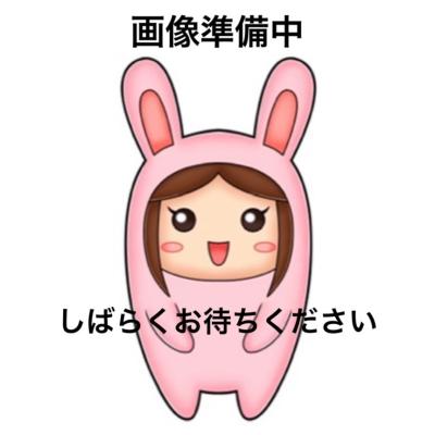 キティ レトロ（ゲーム、おもちゃ）のおすすめ人気商品一覧 通販