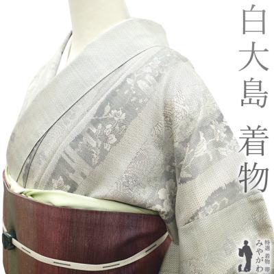新品 未使用 正絹 袷 本場大島紬 白大島 風景 雲 鳥 証紙 白×薄青灰