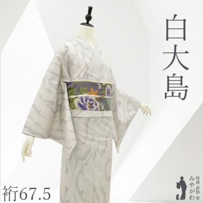 本場大島紬 白大島 袷 着物 未使用 正絹 大島紬 7マルキ モダン柄