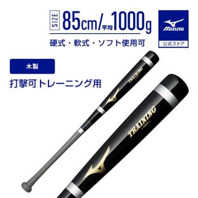 Newton トレーニングバット ホワイト/ブラック Newton ニュートン