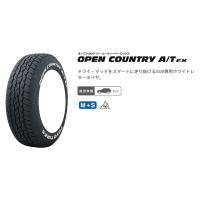 送料無料 業販品 新品 2本セット TOYO OPEN COUNTRY A/T EX 195/65R16 タイヤのみ トーヨー オープンカントリー 夏用 ラジアルタイヤ | Tire Wheel Shop M.K.S.T