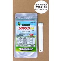 シバゲンDF 20g　最終有効年月2027年10月 | 農園芸と雑貨の店エムエムショップ