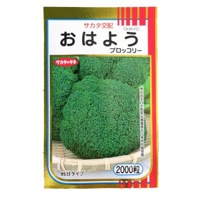 【匿名発送】今だけ値下げ！大人気の新種が激安！ブロッコリーコート種子（おはよう） 楽天市場】【有効期限2026年5月末】 ブロッコリー 種 おはよう
