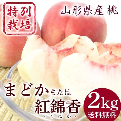 まどか 桃のおすすめ人気商品一覧 通販 - Yahoo!ショッピング