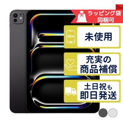 iPad Pro 13インチ M4 512GB Apple Wi-Fiモデル 新品・未使用 iPad Pro 13インチ M4 512GB Apple Wi-Fiモデル 新品・未使用