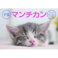 子猫のマンチカン　カレンダー　2024 | ギフトショップモココ