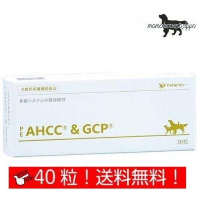 AHCC 犬用（犬用サプリメント）｜犬用品 | ペット用品、生き物 の商品