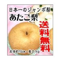 愛宕梨のおすすめ人気商品一覧 通販 - Yahoo!ショッピング