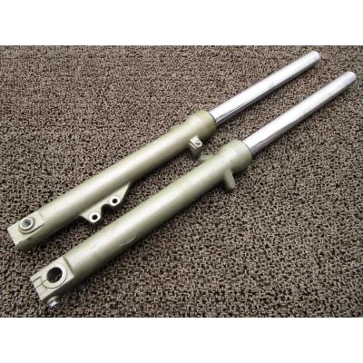 FTR223 フロントフォーク フロントフォークを黒くする！【FTR223-】オイルシールも交換