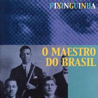 【取寄商品】CD/ピシンギーニャ/ブラジル音楽の父 (解説付) | MONO玉光堂