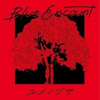 CD/BLUE ENCOUNT/ユメミグサ (CD+DVD) (初回生産限定盤) | MONO玉光堂