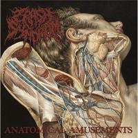 【取寄商品】CD/クラッシュ・シンドローム/Anatomical Amusements | MONO玉光堂