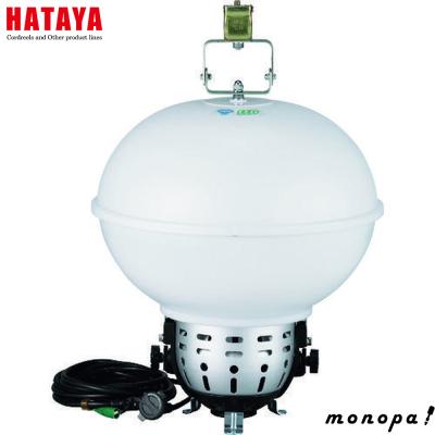 畑谷製作所 ボールライト×2台（必要な方は3脚もお付けします）