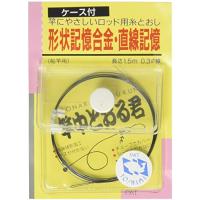吉見製作所 竿中とおる君 ケース付 0.3mm | sisnext