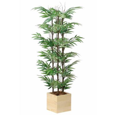 黒竹のおすすめ人気商品一覧 通販 - Yahoo!ショッピング