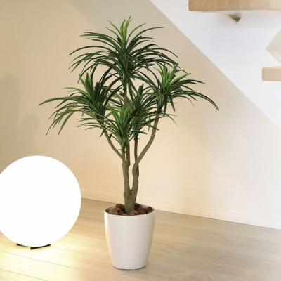 人工観葉植物ユッカの商品一覧 通販 - Yahoo!ショッピング