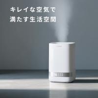 [新登場!]加湿器 蒸気 加熱式 スチーム式加湿器 4.0L 大容量 最大35畳対応 高温除菌 上部給水式 空気清浄 加湿機 静音 省エネ おしゃれ スチーム式 秋冬乾燥対策