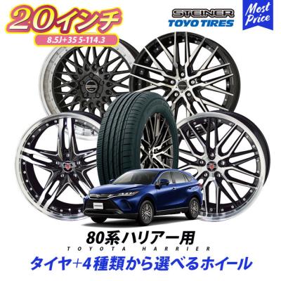 ⭐︎ AME シュタイナーLSV 20インチ LSV | KYOHO