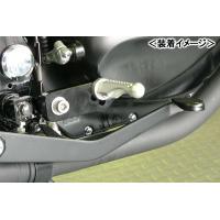 BEET チルトステップ/250TR 0114-K63-00 | バイクパーツMotoJam Yahoo!店