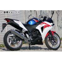 CBR250R mc41 後期 マフラー（バイク マフラー）｜バイク | 車、バイク