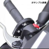 12日クーポンあり ACTIVE (アクティブ) バイク スロットルキット [EVO2] シルバー 巻取φ44/46 YAMAHA YZF-R3(ABS) '19 〜 '20 YZF-R25 '19 〜 '21 1065325 | moto-zoa ヤフーショッピング店