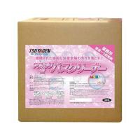 つやげん アルカリ性バスクリーナー 18L TSUYAGEN | モトメガネ2号店