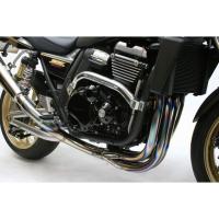 正規品／アクティブ ZRX1200ダエグ サブフレーム（シルバー） ACTIVE バイク | モトメガネ2号店