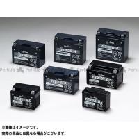 GSユアサ 汎用 VRLA（制御弁式バッテリー） 12V メンテナンスフリー GTZ8V（液入り充電済） メーカー在庫あり GS YUASA | モトメガネ2号店