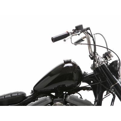 スポーツスター タンク インジェクション ミニ（バイク） | 車、バイク