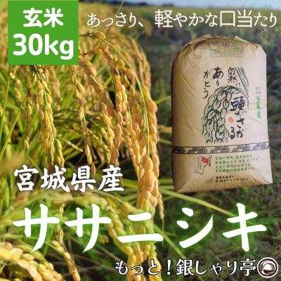 玄米 30kg 農家直送のおすすめ人気商品一覧 通販 - Yahoo!ショッピング