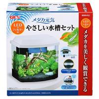 コトブキ アクアコンボ Led一体型フィルターセット小型水槽 W250 D0 H250mm G3 Aqua Lab ヤフーショップ 通販 Yahoo ショッピング