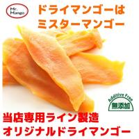 送料無料　ドライマンゴー　無添加 （食品添加物無し）　 500g (100g x 5袋)　ミスターマンゴーオリジナル 