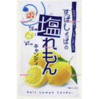 OEx松屋製菓　１００Ｇ 塩レモンキャンディ×20個【xeco】【エコ配 送料無料 （沖縄 不可）】 | おかしのモリモリ森 ヤフー店