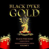 ブラック・ダイク・ゴールド Vol. 5 | ブラック・ダイク・バンド  ( CD ) | ミュージックストア・ジェイ・ピー