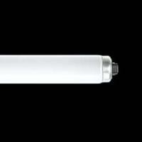 10本セット 東芝 FLR110HEX-D/A/100H 蛍光ランプ 110形 直管ラピッドスタート形 三波長形 昼光色 8670lm 6500K 代引き不可 『FLR110HEXDA100H』 | エムズライト