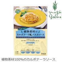 パスタソース 創健社 植物素材のカルボナーラ風パスタソース（レトルト） 150g 動物性原料不使用 正規品 無添加 不要な食品添加物 化学調味料不使用 自然食品 | オーガニック健康生活 むぎごころ