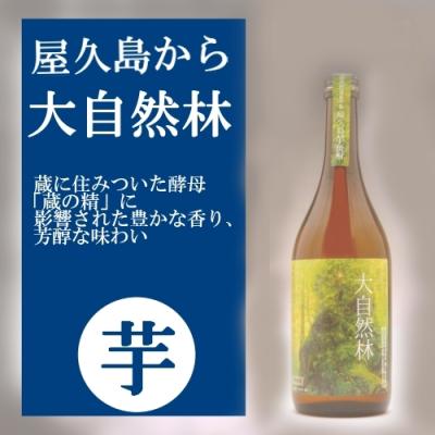 芋焼酎まとめ売り　古酒 古酒 櫻井 25度 1800ml