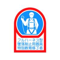 J.G.C./日本緑十字社 ヘルメット用ステッカー フルハーネス型墜落制止用器具特別教育修了者 35×25mm 10枚組 オレフィン 233128 | NEXT!