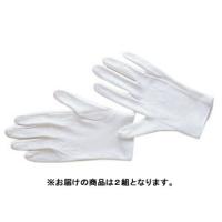 ETSUMI/エツミ E-5070　整理用手袋２双入り | NEXT!
